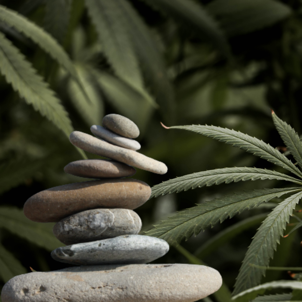 Cannabis for Spiritual Growth